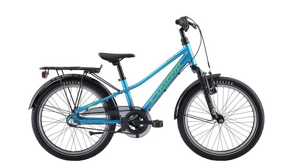 Crescent Gang 20″ 3 vxl