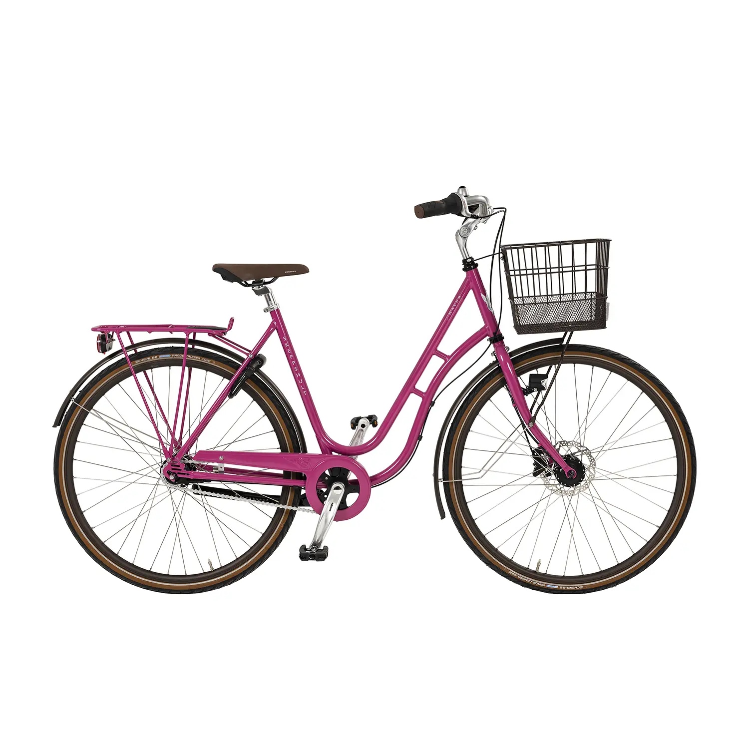 Natur colour 2023 Lupin