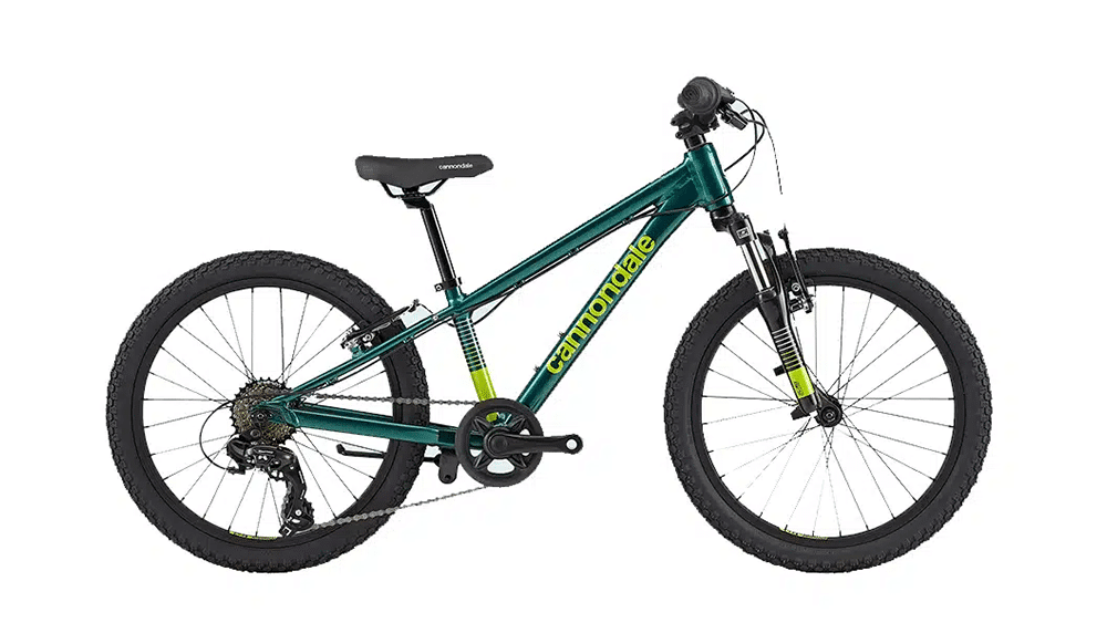 cannondale kids trail