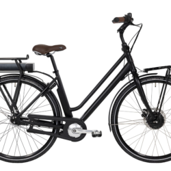 Raleigh Sussex E1 - Noname Raleigh Sussex E1 Noname